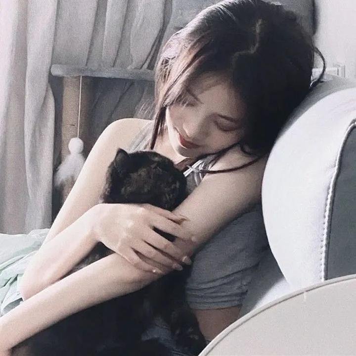 会长是女仆 特别篇